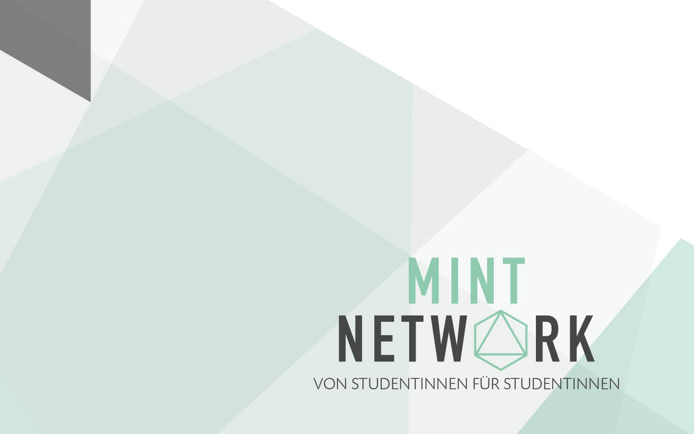 Netzwerkabed 