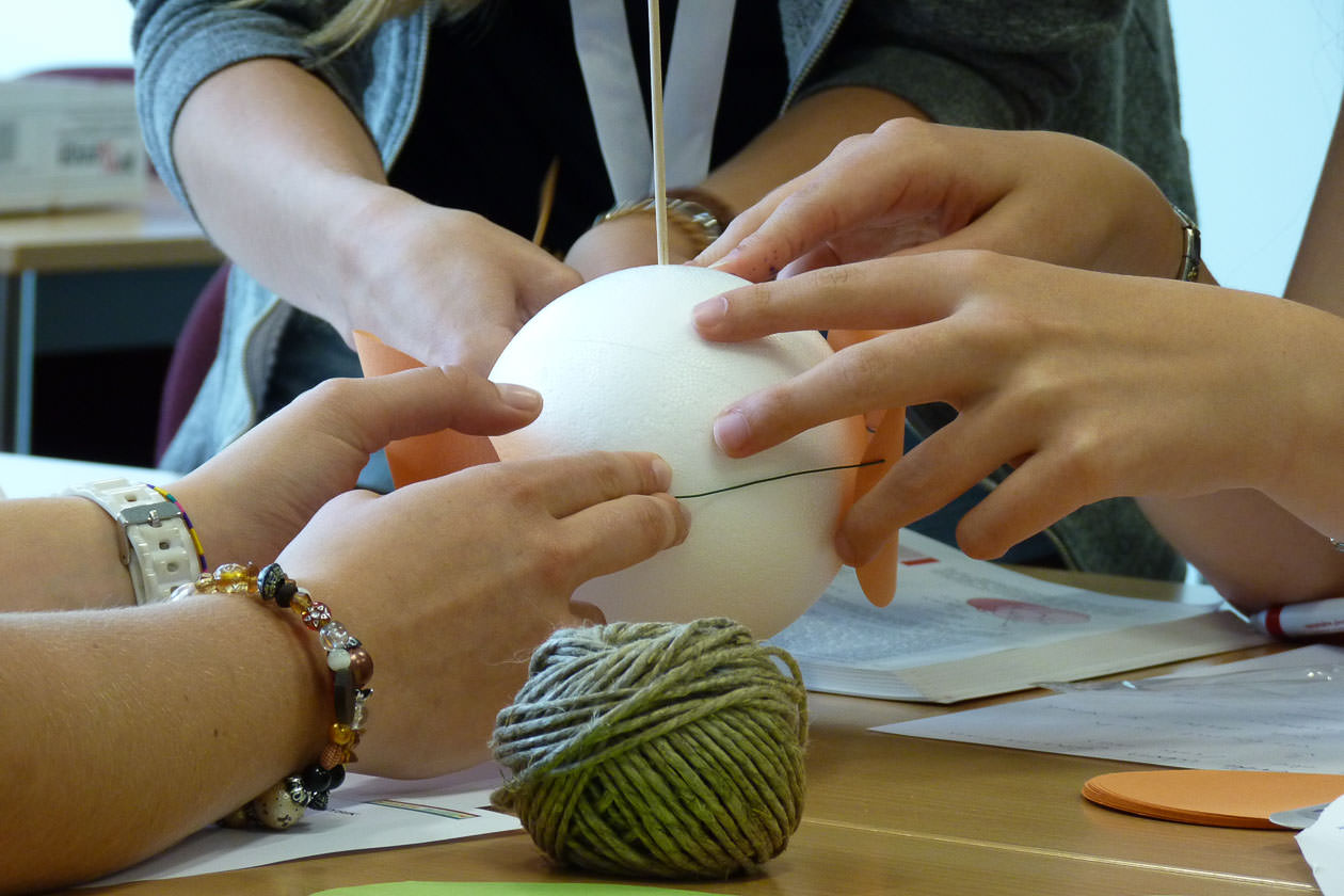 003 thueko MINT-studieren